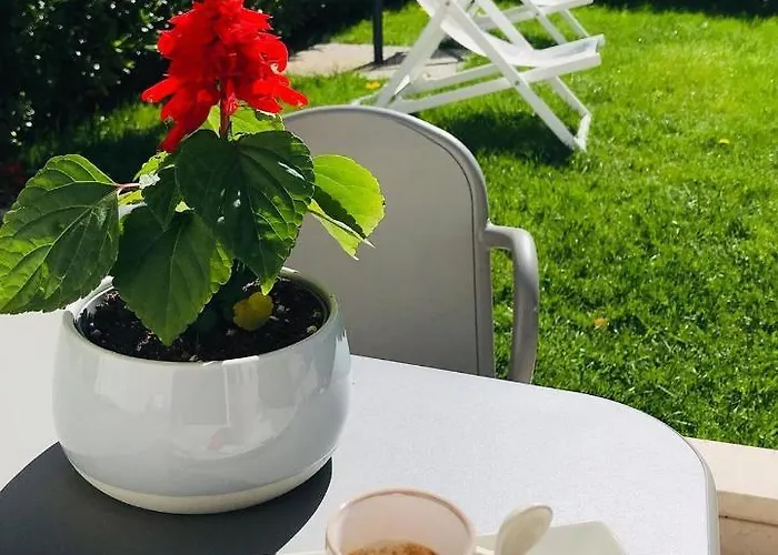 Le Stanze - Di Fianco Casa Di Cura Montanari 4* Morciano di Romagna